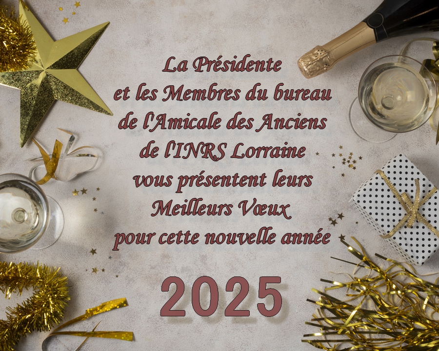 Bonne annee 2025